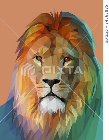 Lion portrait. Low poly design. Vector eps10 24565885