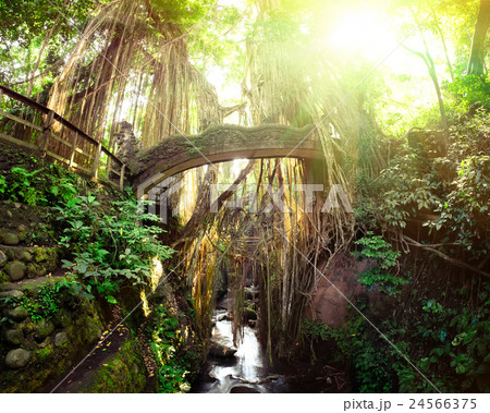 Barong Lion bridge at Monkey Forest. Bali 24566375