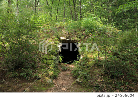 長野県松川村　祖父が塚古墳 24566604