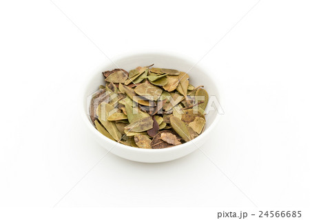 ウバウルシ: Uva-ursi (bearberry leaves) 24566685