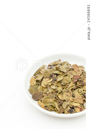 ウバウルシ: Uva-ursi (bearberry leaves) ウバウルシ: Uva-ursi (bearberry leaves) 24566691