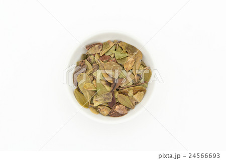 ウバウルシ: Uva-ursi (bearberry leaves) 24566693
