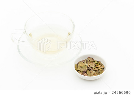 ウワウルシ・ティー: Uva-ursi tea 24566696
