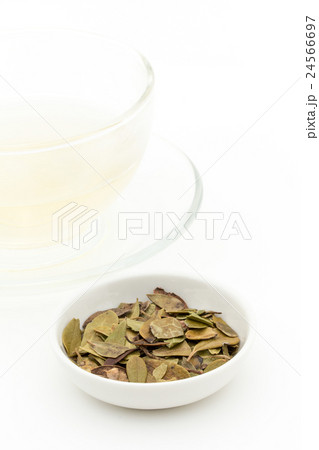 ウワウルシ・ティー: Uva-ursi tea 24566697