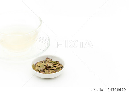 ウワウルシ・ティー: Uva-ursi tea 24566699