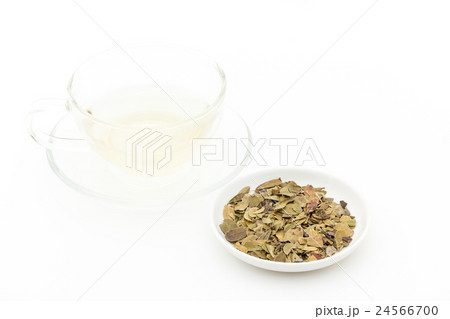 ウワウルシ・ティー: Uva-ursi tea 24566700