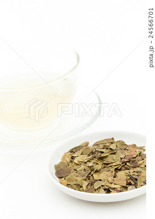 ウワウルシ・ティー: Uva-ursi tea 24566701