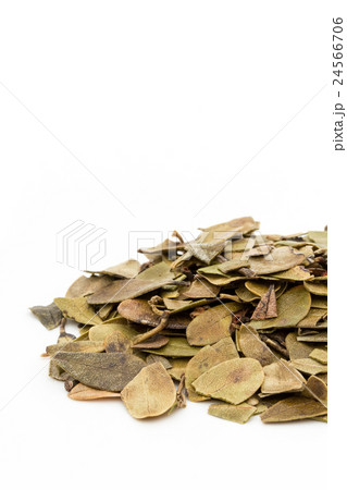 ウバウルシ: Uva-ursi (bearberry leaves) 24566706