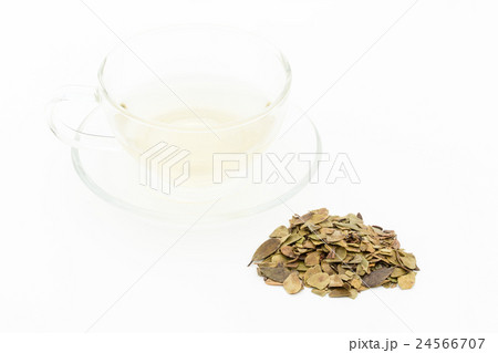 ウワウルシ・ティー: Uva-ursi tea 24566707