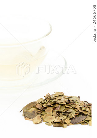 ウワウルシ・ティー: Uva-ursi tea 24566708