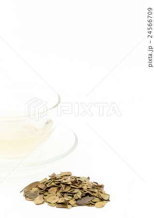 ウワウルシ・ティー: Uva-ursi tea 24566709