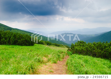 Path on the mountains Path on the mountains 24566715