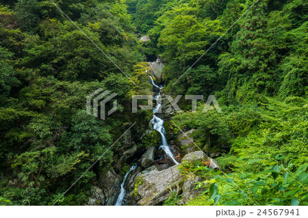 滝と新緑（愛媛県西条市銚子の滝）を望む山岳・地域景観 24567941
