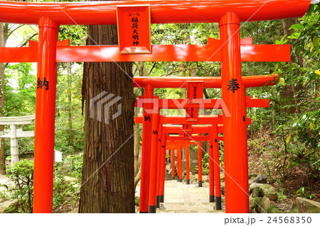 白笹稲荷神社　鳥居 24568350