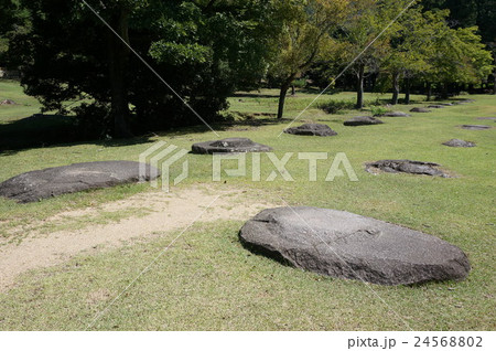 奈良「東大寺」大仏殿裏にある講堂跡：礎石群 24568802