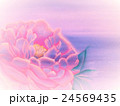 背景 24569435