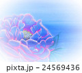 背景 24569436