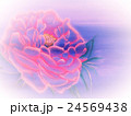 背景 24569438