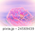 背景 24569439