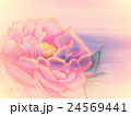 背景 24569441