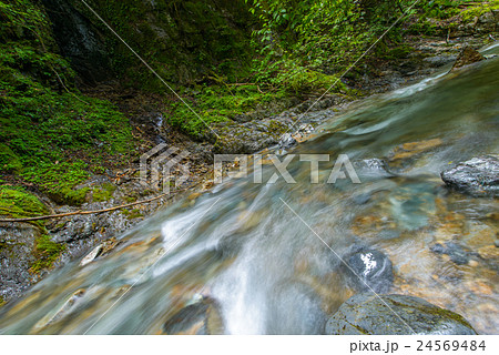渓流 24569484