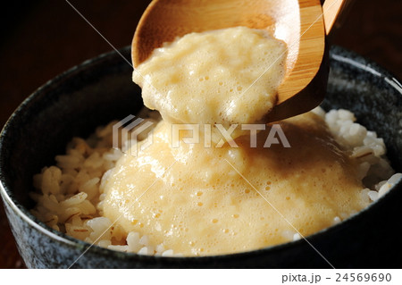 麦とろごはん 24569690