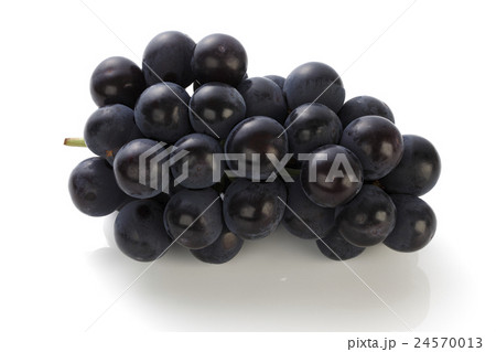葡萄/巨峰 葡萄/巨峰 24570013