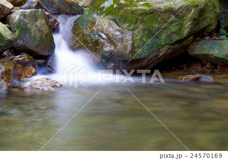 清流 清流 24570169