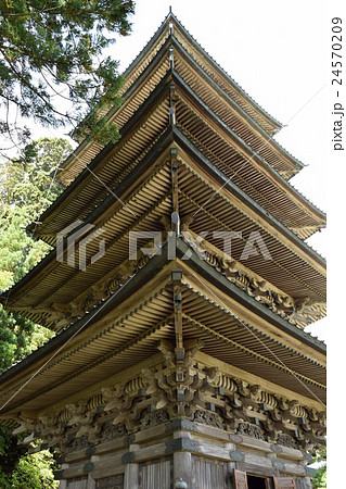 国の登録有形文化財 善法寺五重塔 国の登録有形文化財 善法寺五重塔 24570209