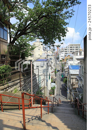 新宿区四谷の須賀神社 新宿区四谷の須賀神社 24570253