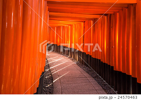 Fushimi Inari Taisha Shrine in Kyoto, Japan Fushimi Inari Taisha Shrine in Kyoto, Japan 24570463