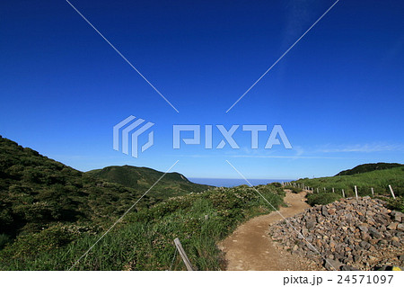 【九重山】久住山へと続く道 24571097