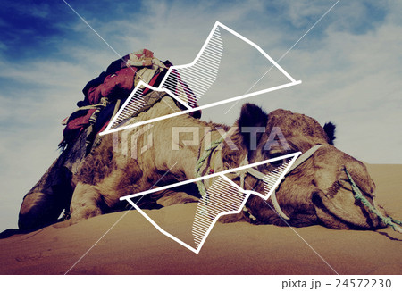 Journey Exploration Destination Adventure Holiday Concept 24572230