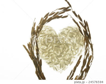 rice with backlit 24576594