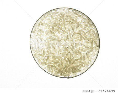rice with backlit 24576699