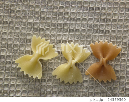 pasta 24579560