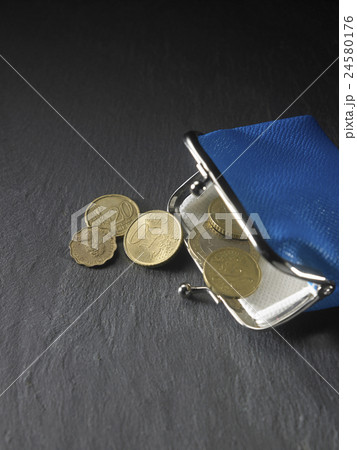 coin purse 24580176