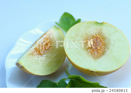 ころたん ころたん 24580615