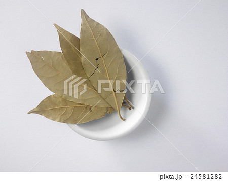 bay leaf 24581282