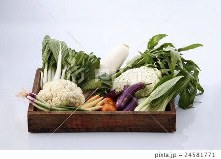 vegetables group vegetables group 24581771