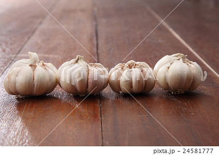 garlic 24581777