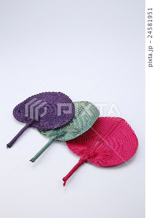 fan fan 24581951
