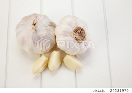 garlic 24581976
