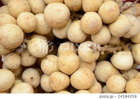 Southern langsat fruit Southern langsat fruit 24584359