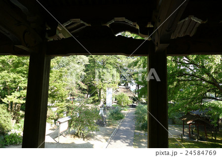 稲田禅房　西念寺から見た山門 24584769