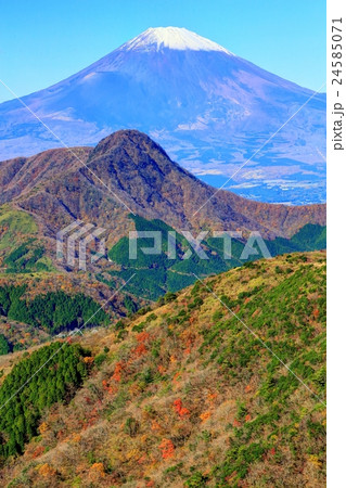 箱根・明神ヶ岳から見る金時山と富士山 24585071