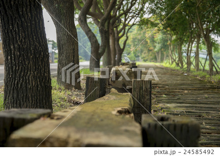 公園 パーク 園 24585492