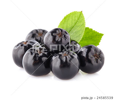 Chokeberry in closeup 24585539