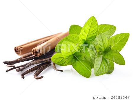Spices on a white background 24585547