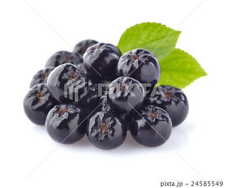 Chokeberry with leaves 24585549